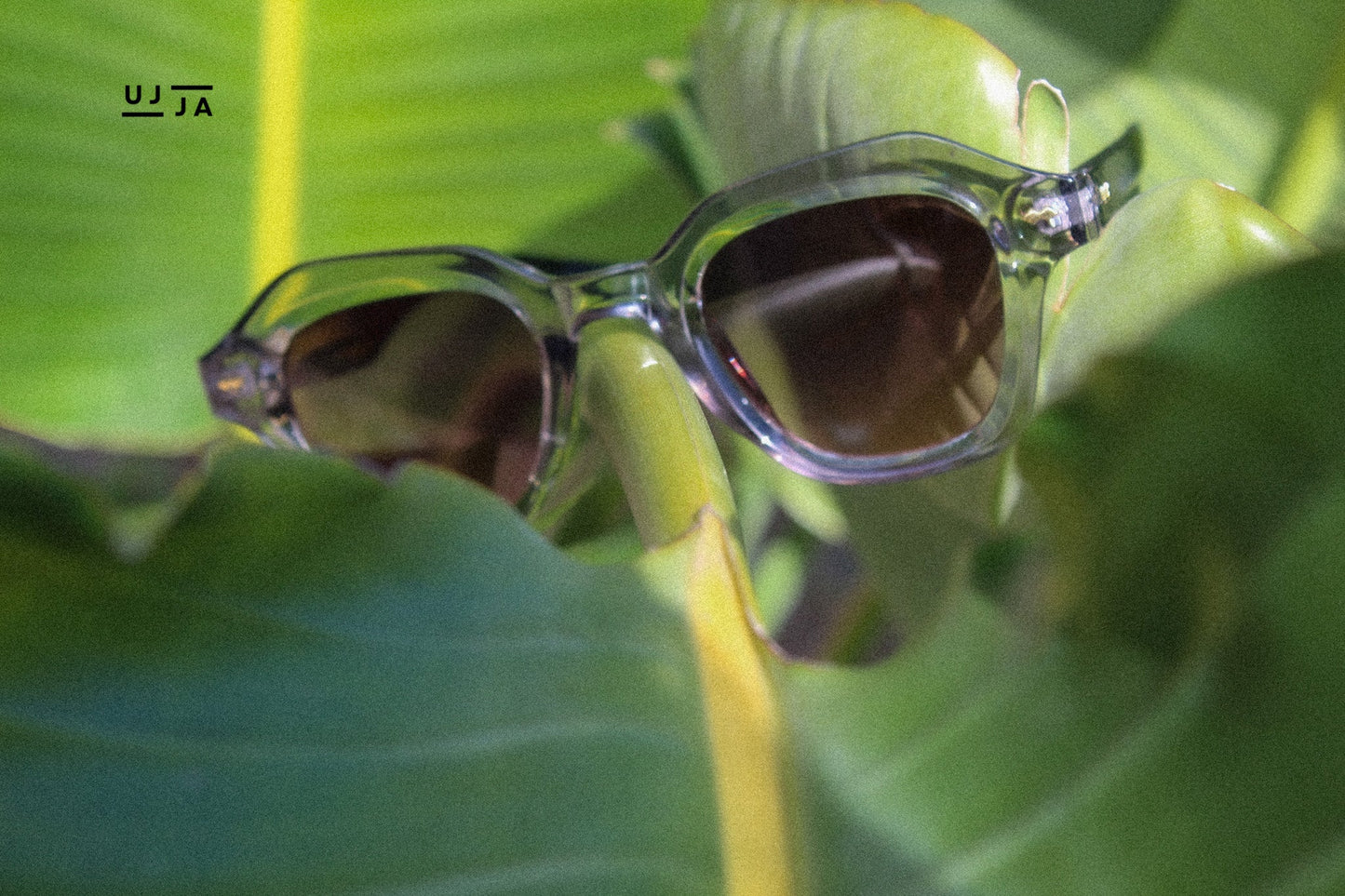 Gold Mine Sunglasses UJJA EYEWEAR UJJA Eyewear