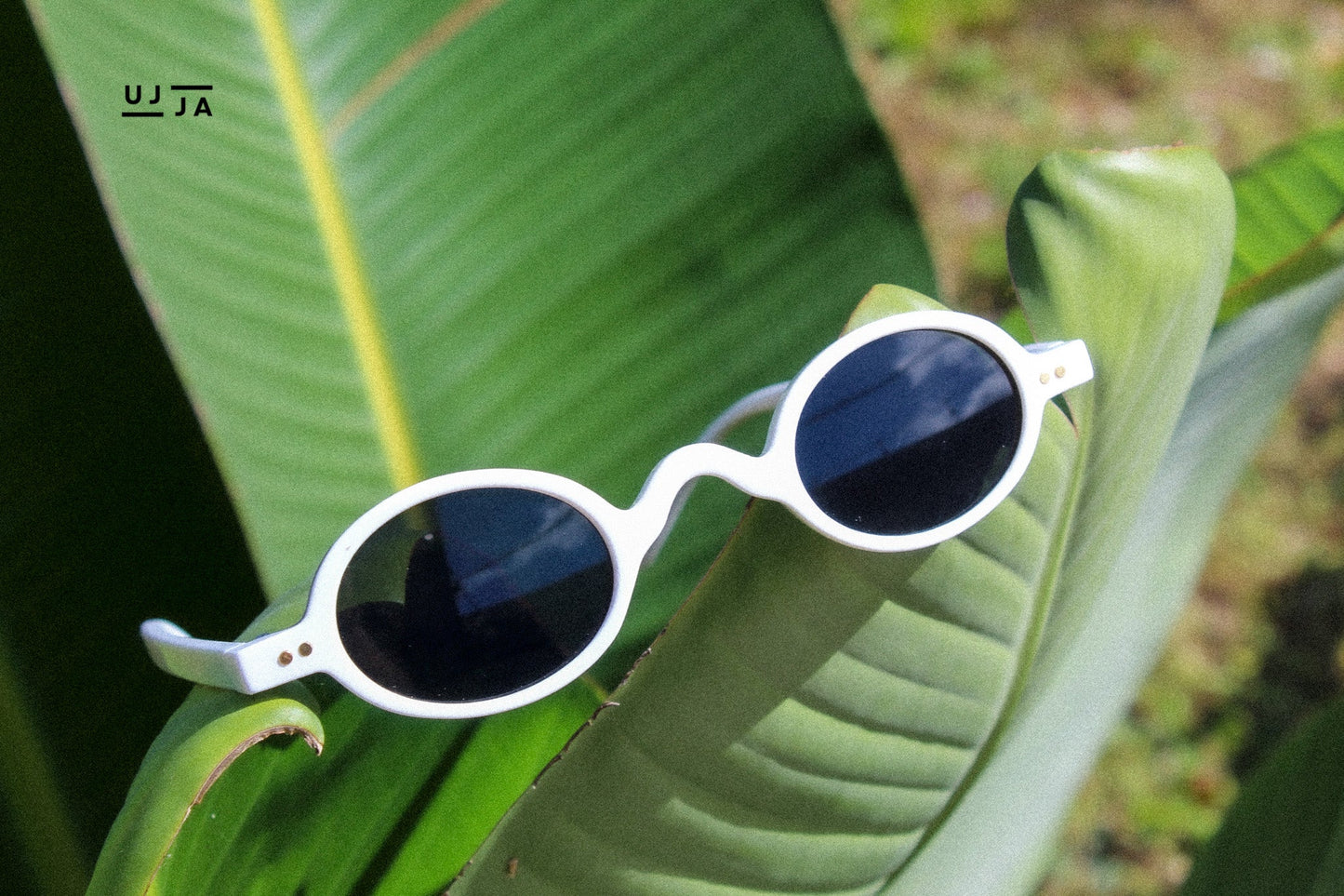 Crandon Lake Sunglasses UJJA EYEWEAR UJJA Eyewear