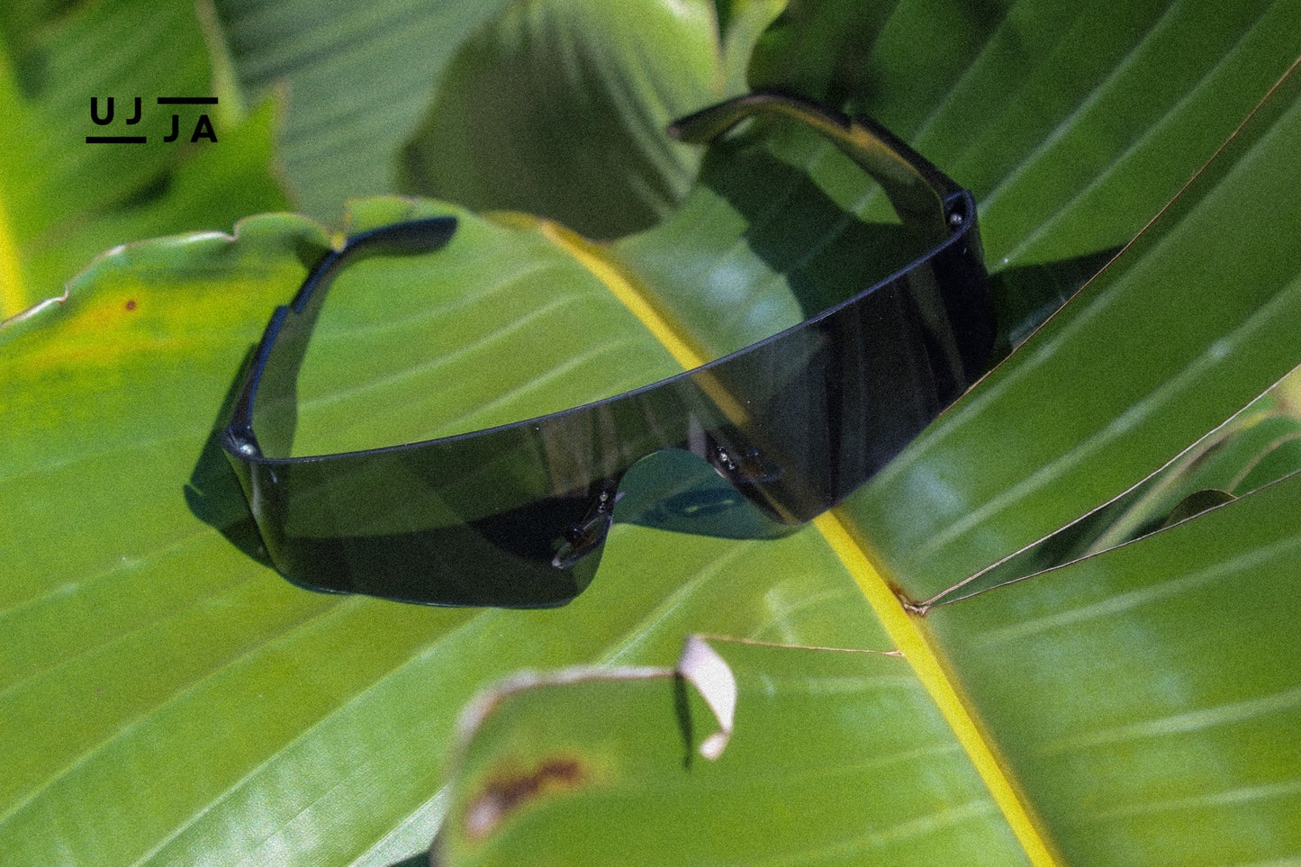 Sunny Hills Sunglasses UJJA EYEWEAR UJJA Eyewear